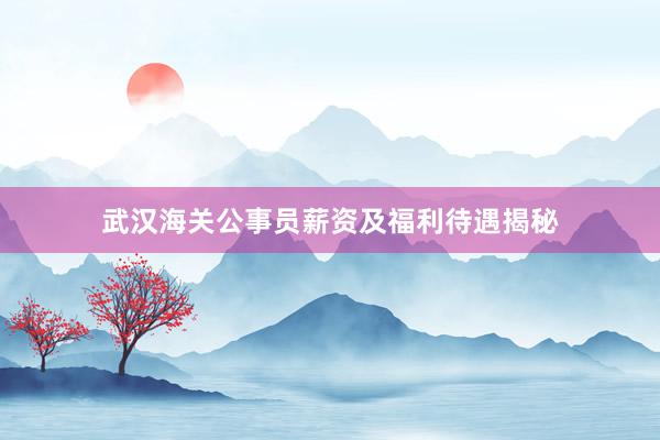 武汉海关公事员薪资及福利待遇揭秘